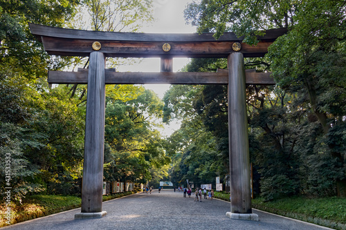 Entrance at Meiji Jingu Shrine in Tokyo. Wooden torii gate. Tokyo, Japan. photo