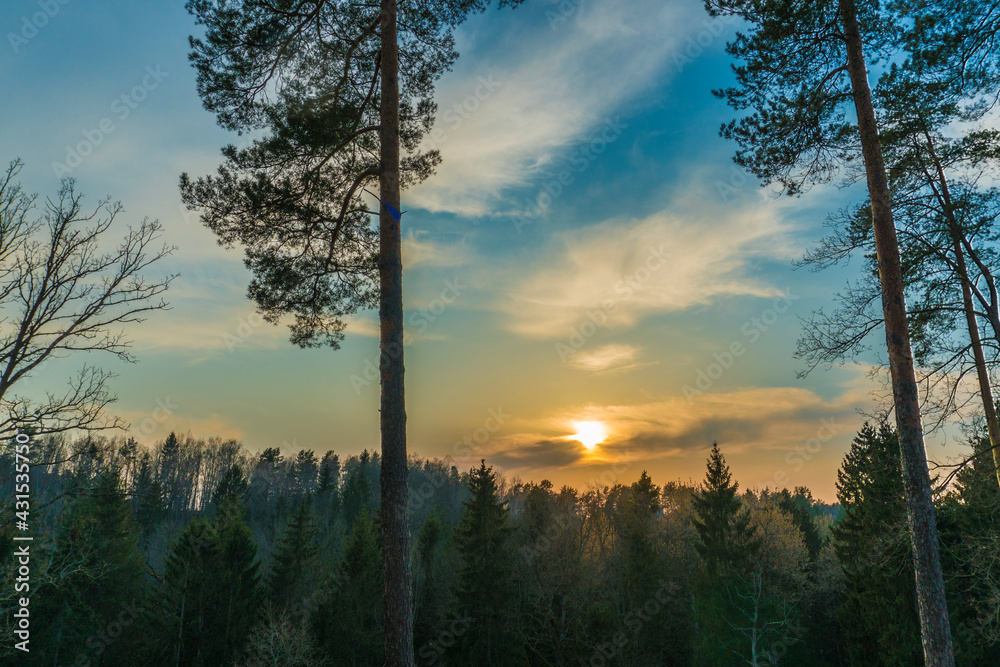 colorful sunset over the forest view from the hill