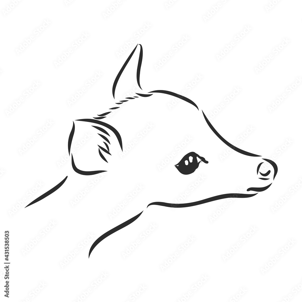 Fototapeta premium Hand ink drawing of a young sika deer isolated on white background, in a standing pose. Fawn, forest animal, vector illustration.