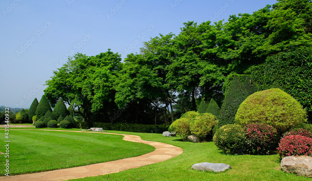 Fototapeta premium garden in the park