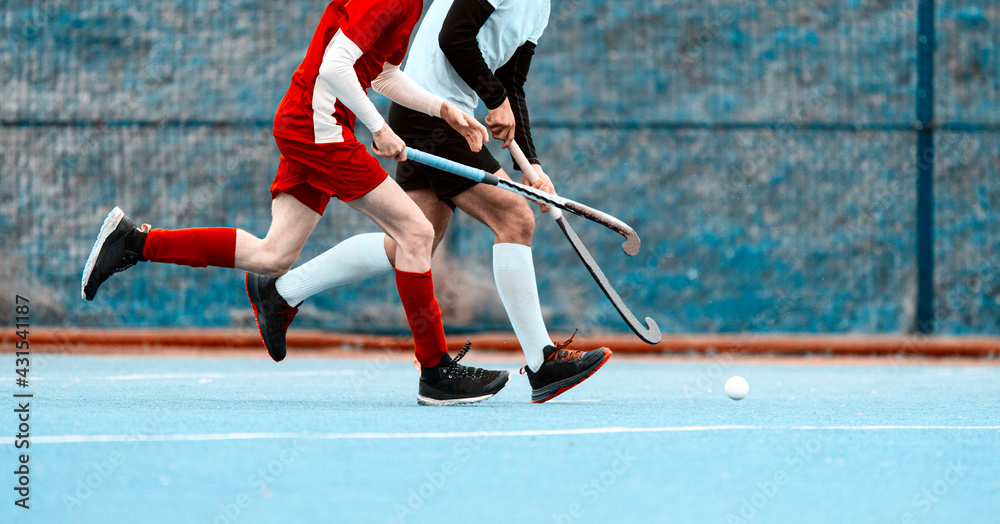 Two field hockey player, fighting for the ball on the midfield during an intense match on green grass. Professional sport concept. Vintage color filter Two field hockey player, fighting for the ball on the midfield during an intense match on green grass. Professional sport concept. Vintage color filter