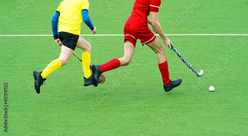 Fototapeta Naklejka Na Ścianę i Meble -  Two field hockey player, fighting for the ball on the midfield during an intense match on green grass. Professional sport concept