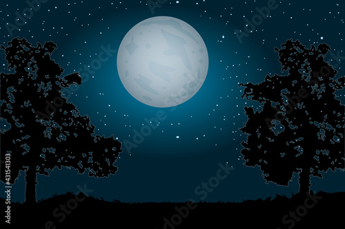 Landscape with moon, trees silhouettes and path. Night sky and moonlight.Evening scenery in the countryside with full moon and starry sky. Alley of the empty  park at dusk time.Vector illustration