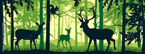 Horizontal banner of forest landscape. Deer with doe and fawn in magic misty forest. Squirrel on branch. Silhouettes of trees and animals. Green background, illustration. Bookmark.