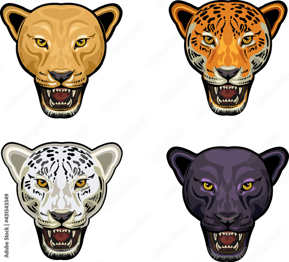 Portrait of a tiger head or black panther, jaguar, puma ilustración de Adobe Stock