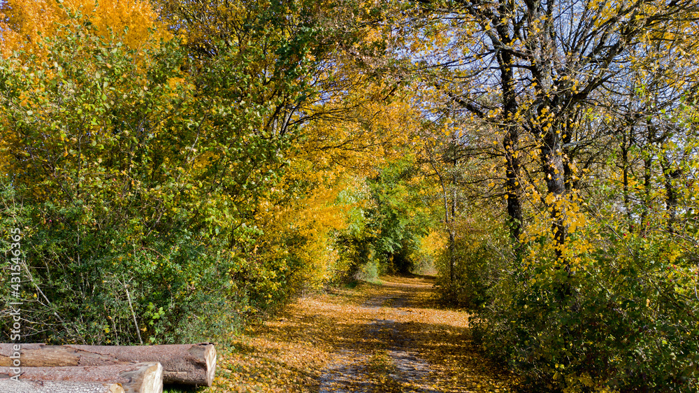 Herbstlandschaft - Luftbild