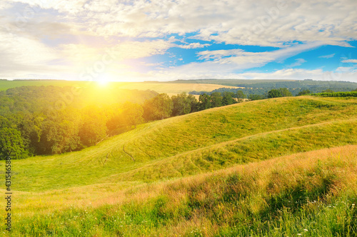 hills with green grass and trees in the rays of the sunset.