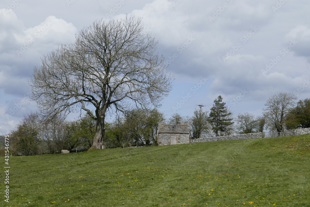 Fototapeta premium Rural landscapes in the Peak District