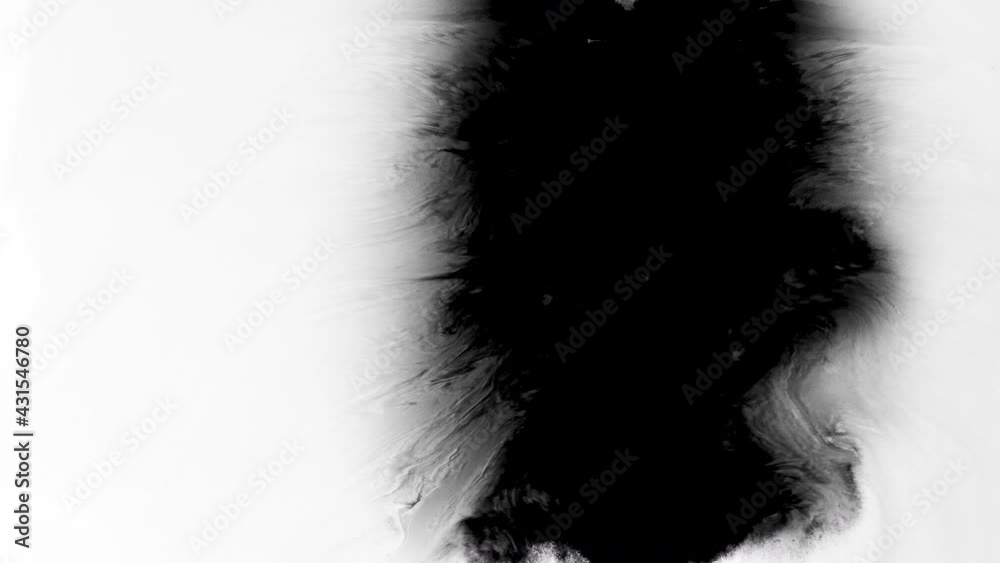 Set of abstract artistic ink splatters, droplets falling and spreading. Ink transition, ink bleed and bloom, drips on white surface. Spilling black paint on white background, watercolor swirls