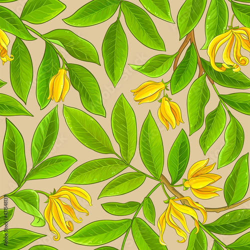 ylang ylang pattern on color background
