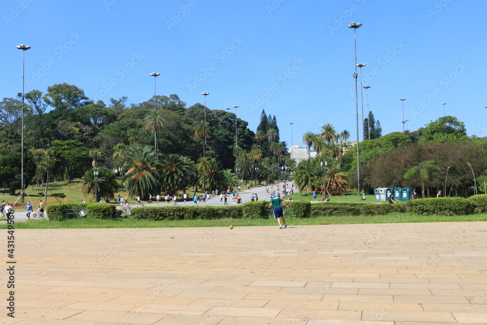 Obraz premium park in the city