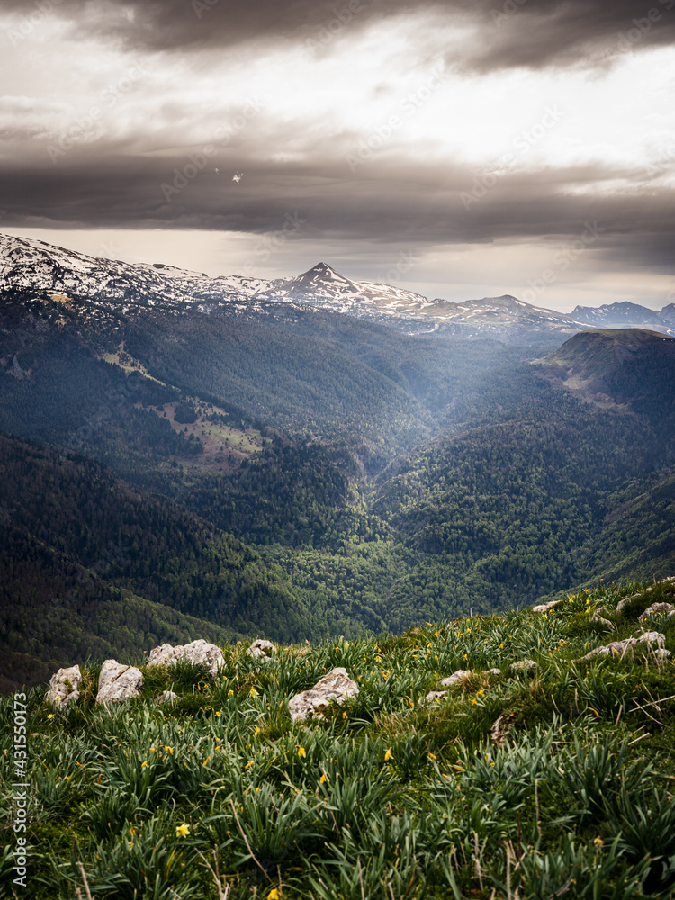 Fototapeta premium montagne