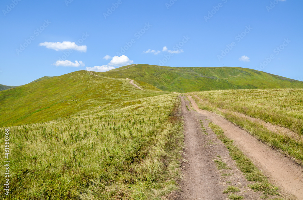 Twisting mountain hiking trail turns uphill through green hills at Borzhava ridge in sunny summer day. Carpathian Mountains, Ukraine
