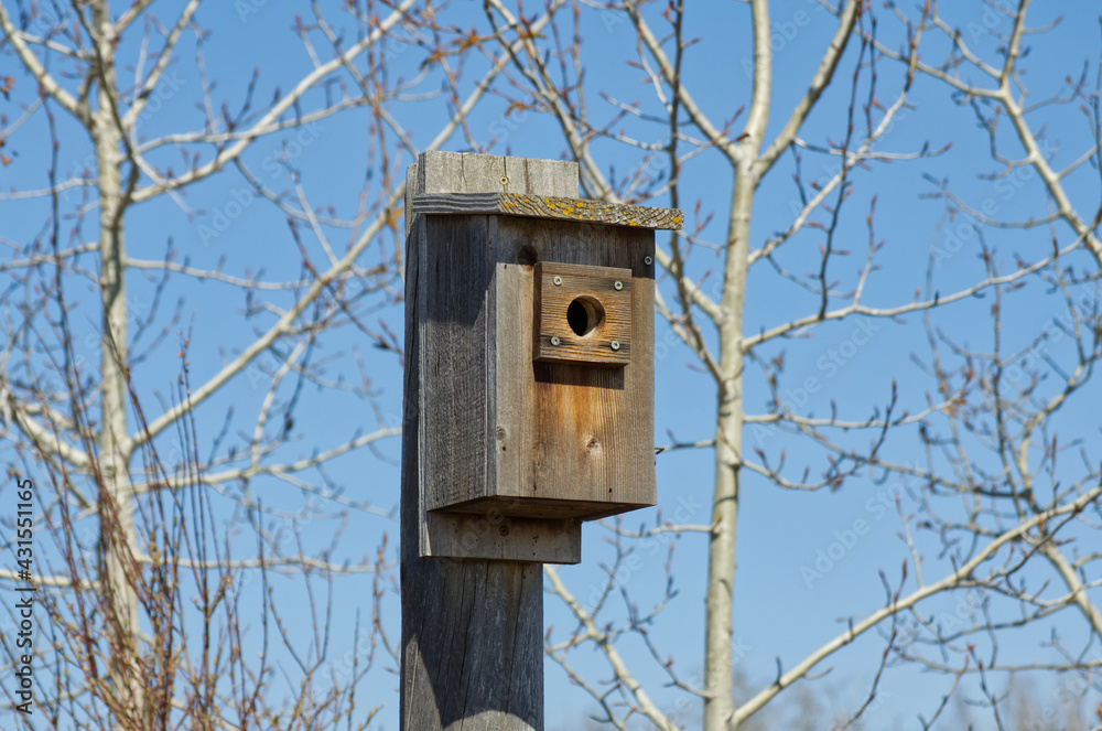A Close Up of a Birdhouse for Tree Swallows