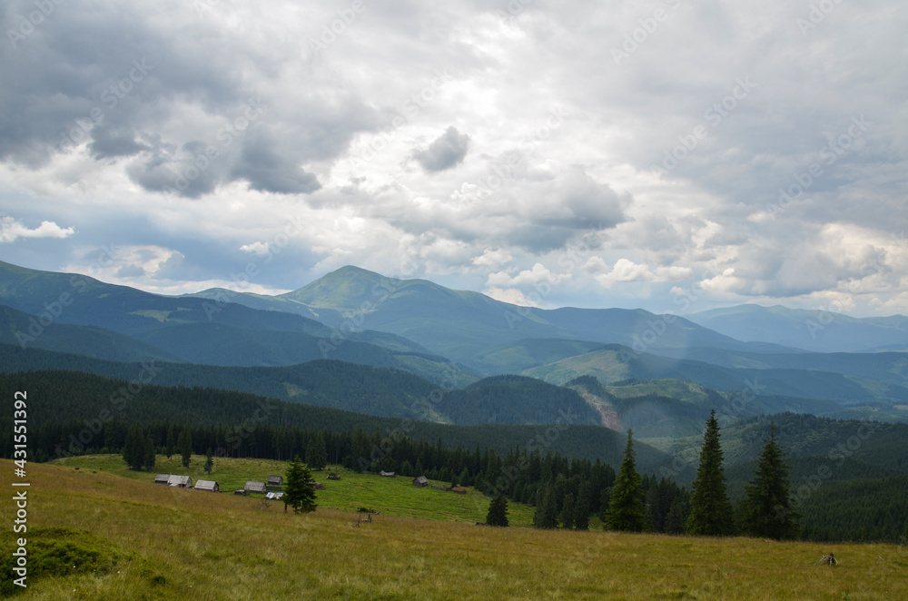 Small shepherd houses on wide hill with grassy meadow near pine forest with Chornohora ridge on background under cloudy sky. Carpathian Mountains, Ukraine 