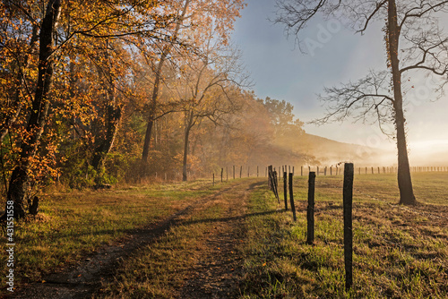 Fog rises from the creek in golden light at Cades Cove.