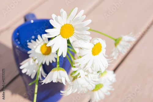 Cute white flowers in vase. Seasonal summer chamomile flowers on bright sunbeams