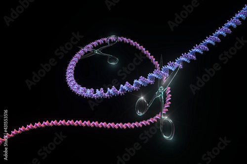 DNA strand being cut crispr scissors genetic modification. 3d render photo