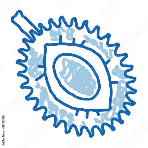 Durian Sliced Tropical Fruit doodle icon hand drawn illustration