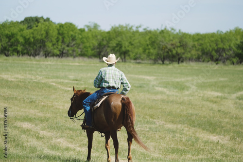 Cowboy on brown horse riding through Texas field in summer landscape.
