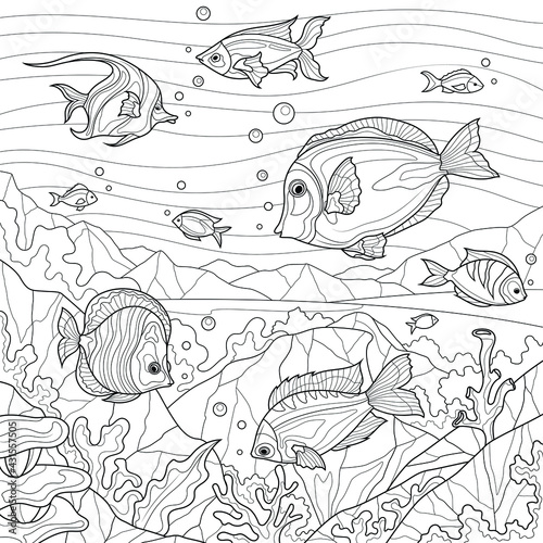 Fish underwater.Coloring book antistress for children and adults. Illustration isolated on white background.Zen-tangle style. Hand draw