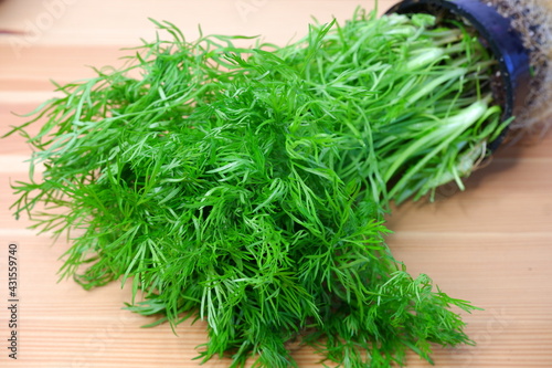 Dill on a wooden table