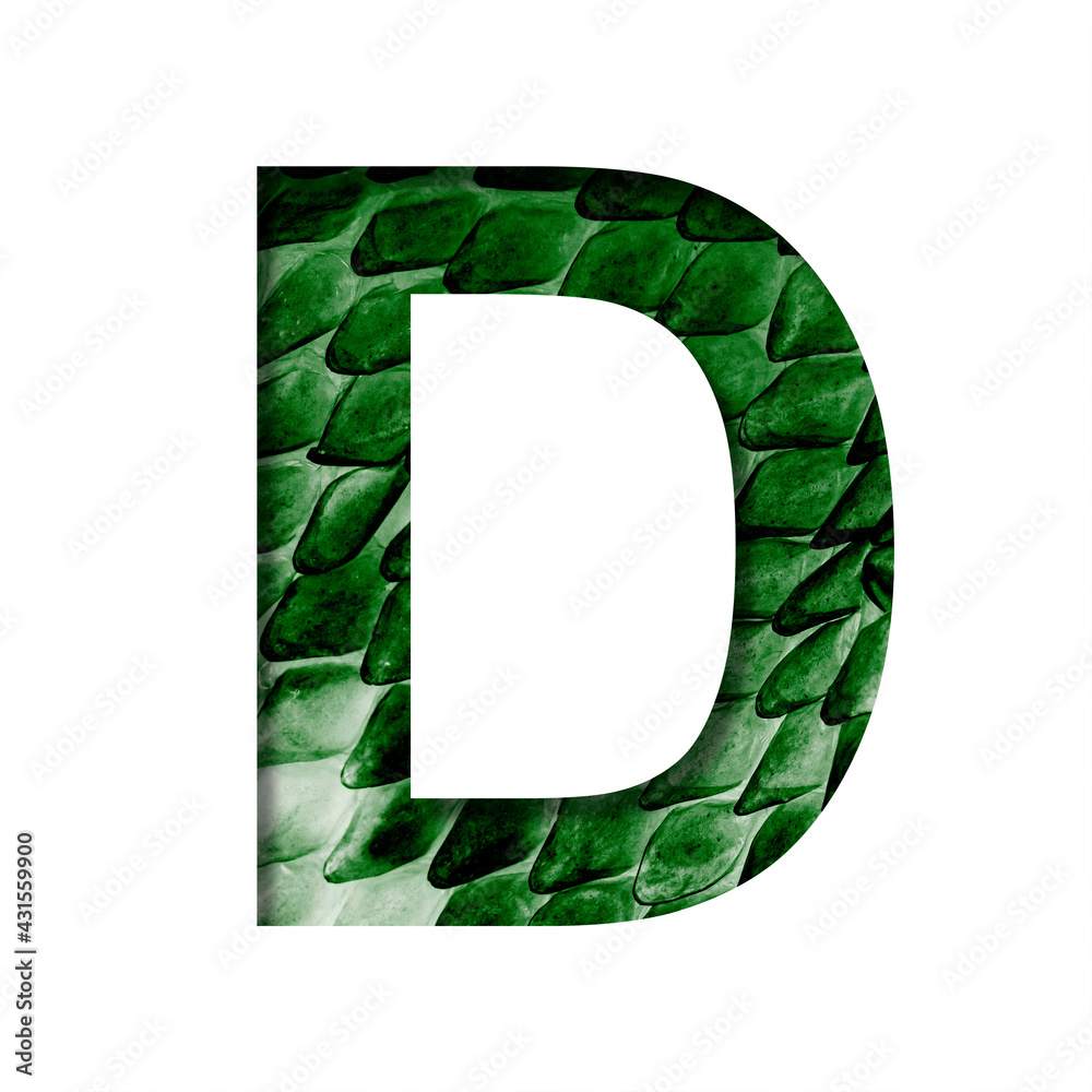 Dragon skin font. The letter D cut out of paper on the background of ...