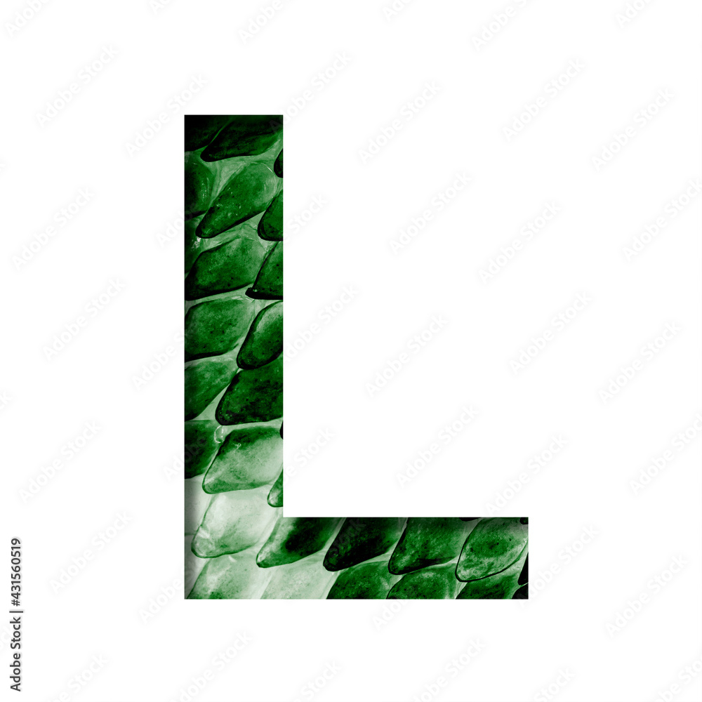 Dragon skin font. The letter L cut out of paper on the background of ...