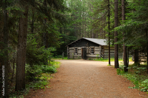 Path to a log cabin in the woods Algonquin Park