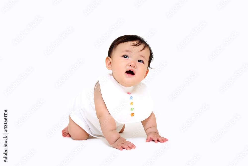 白背景でハイハイする女の子の赤ちゃん。元気,健康,成長,育児イメージ