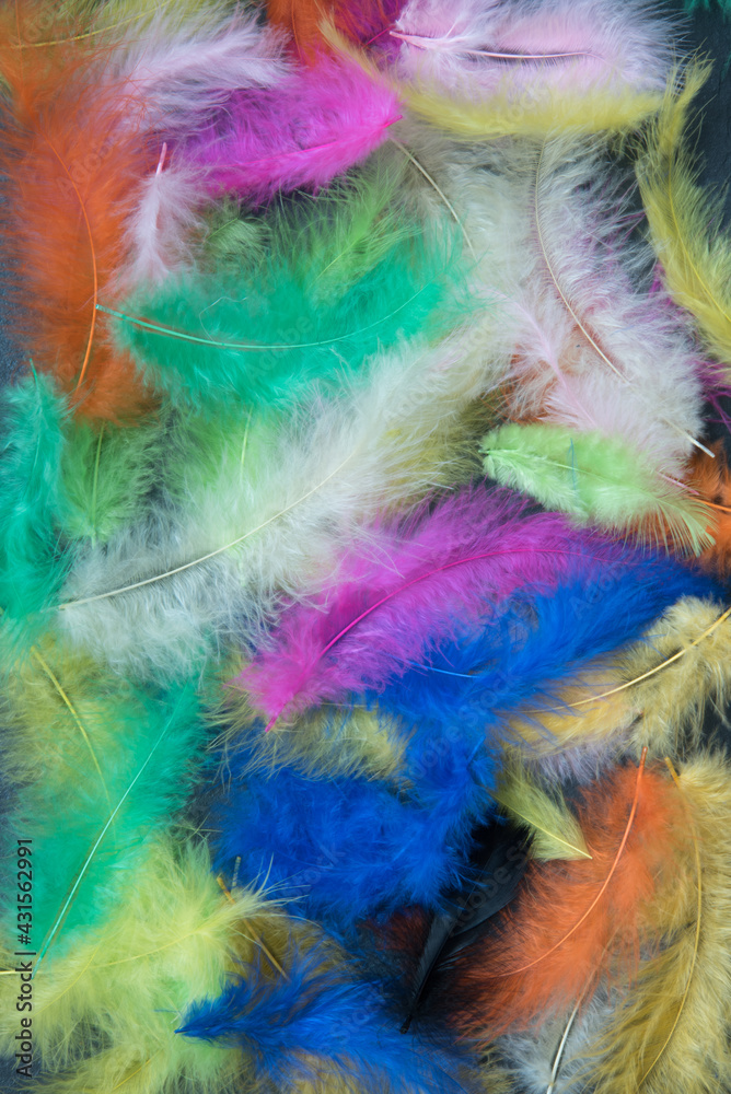 Feathers of different colors. Background, feather texture. An abundance of color