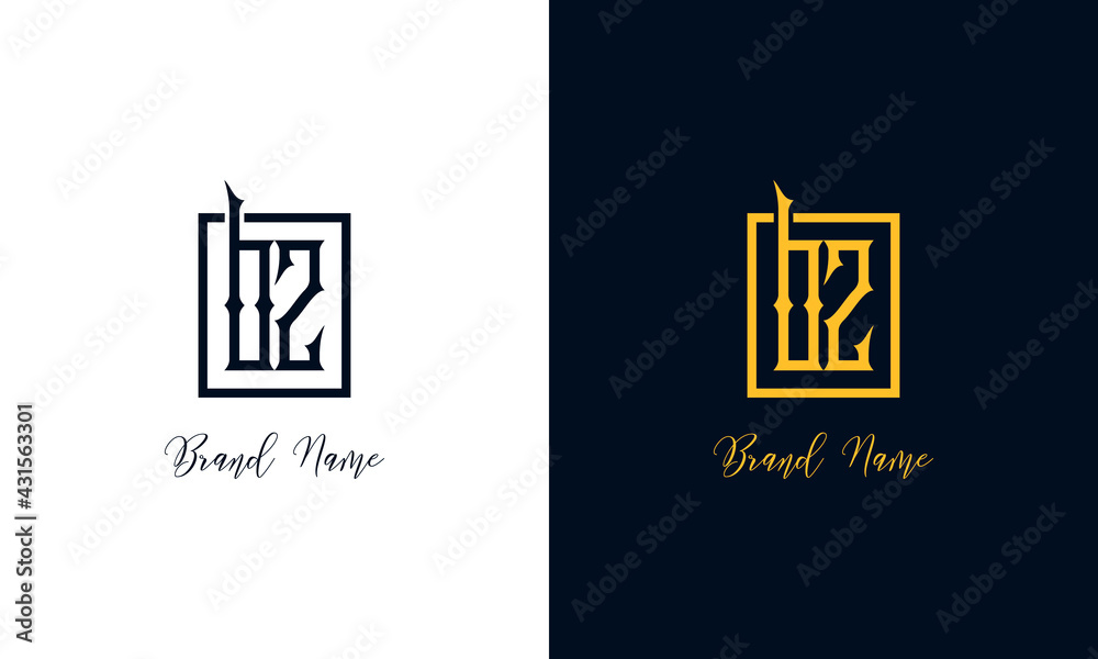 Minimal Abstract letter BZ logo.