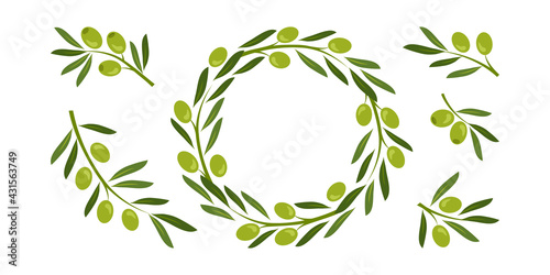 Green olive crown, wreath vector set and greek olive branches, tree leaves twigs. Nature illustration