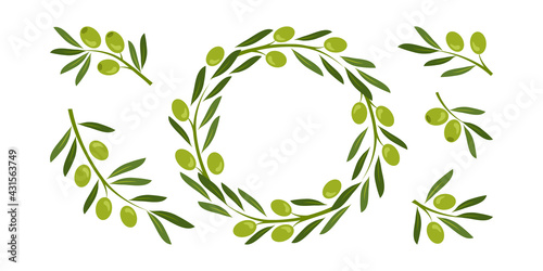 Green olive crown  wreath vector set and greek olive branches  tree leaves twigs. Nature illustration