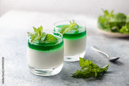 Dessert Panna Cotta with mint sauce and fresh mint on white background