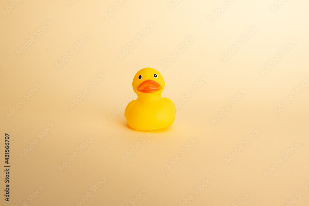 yellow rubber duck on pink background in blue water yellow rubber duck on pink background in blue water