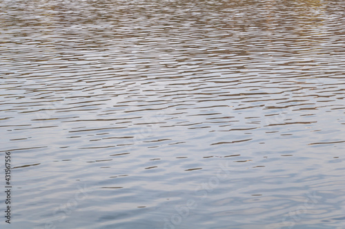 Water surface - Lake background texture - Water Waves Surface