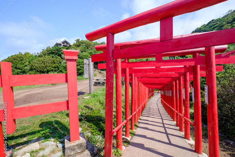 The red torri path at Motonosumi Inari Shrine The red torri path at Motonosumi Inari Shrine