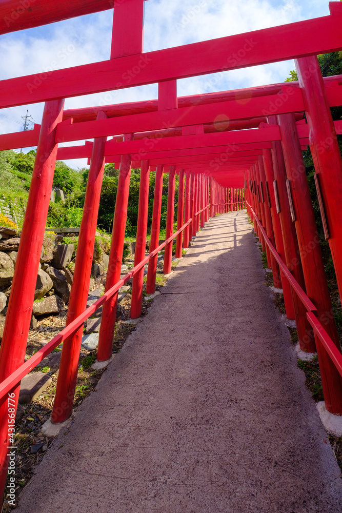 The red torri path at Motonosumi Inari Shrine The red torri path at Motonosumi Inari Shrine