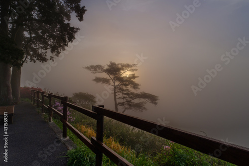 Fototapeta Naklejka Na Ścianę i Meble -  Morning walk on a foggy misty mountain