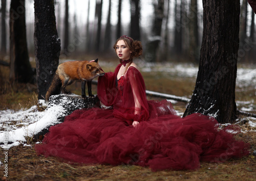 Fotografie Beautiful young woman in long red dress sitting near fox in the forest