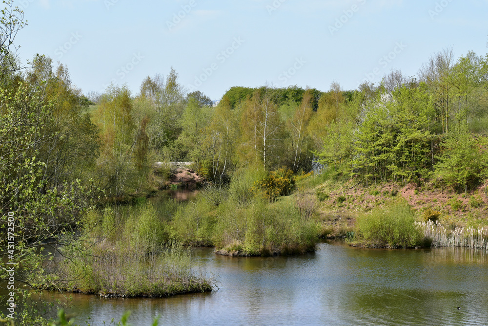 Landscape with a lake in Ryton Pools Country Park, Ryton-on-Dunsmore, England, UK	