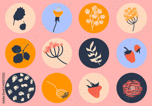 Vector rounds for social media stories for bloggers. Set of templates for networks Story Highlights Covers Icons. Abstract berries, strawberry, branches and flowers. © Viktoria Skripkina