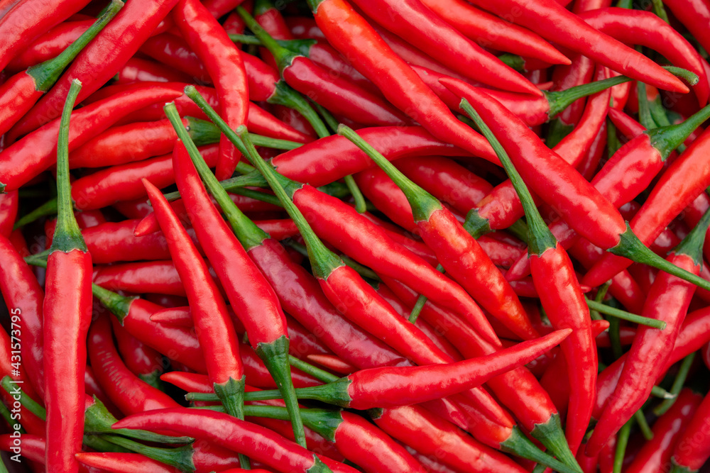 Fresh red chili pepper background.