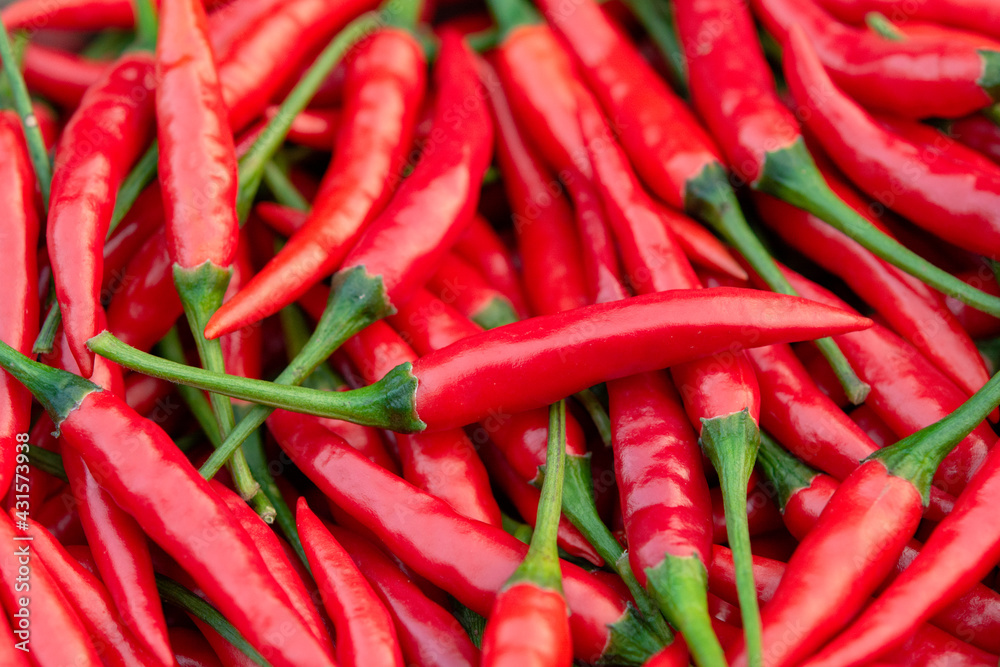 Fresh red chili pepper background.