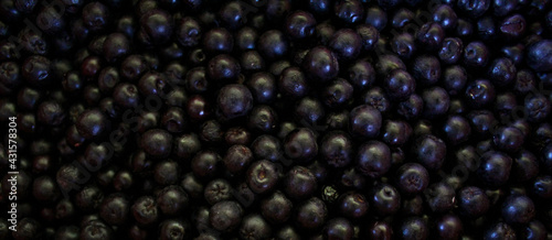 Banner. Chokeberry berries. Aronia berries. Chokeberry, aronia background fruit. Fruits. Berry. Freshly picked ripe berries. Aronia melanocarpa or black chokeberry background. Close up. Macro.