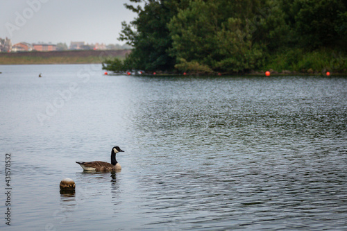 Nature scene at Fairhaven Lake in Lytham St Annes