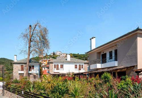 Mansions in Afissos, a historic village on the slopes of Mount Pelion, Greece. The mansions are built of stone and wood and the roofs are covered with the famous characteristic grey slates. © Apostolis Giontzis