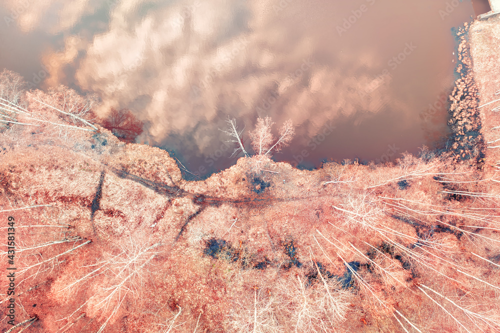 Bare trees and orange lake with sky reflection top aerial view