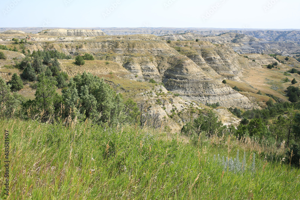 Fototapeta premium Theodore Roosevelt National Park in North Dakota, USA, north unit
